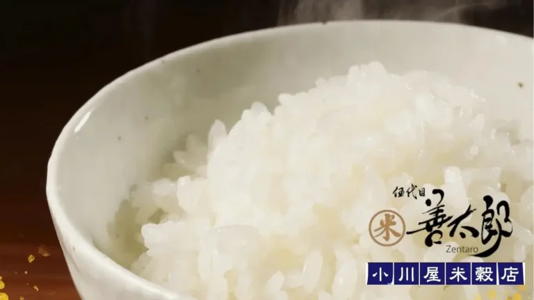 zentaroogawayagohan-banner