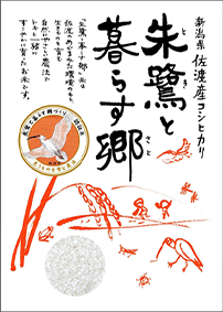 koshihikari